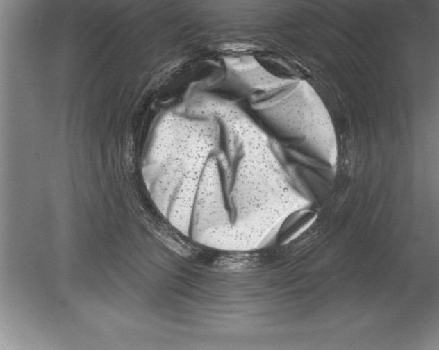 X0000079580563200612301409