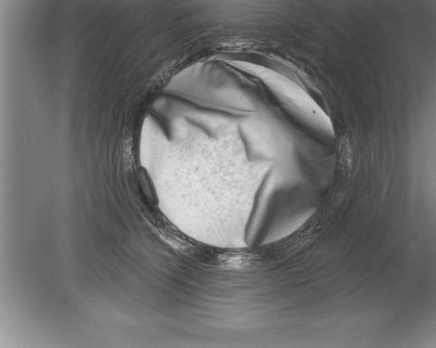 X0000079580564200612301410