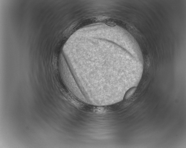 X0000079580565200612301410