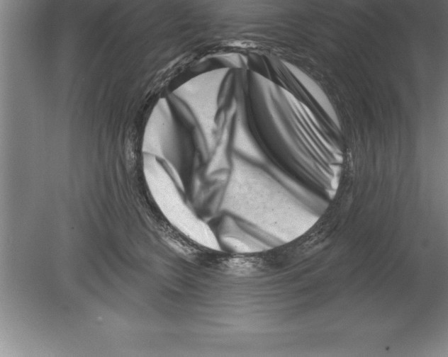 X0000079580566200612301410