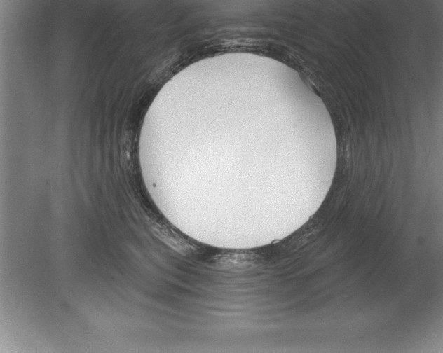 X0000079580567200612301410