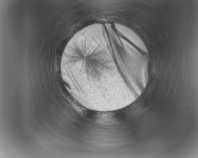 X0000079580569200612301410