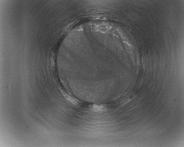 X0000079580570200612301410