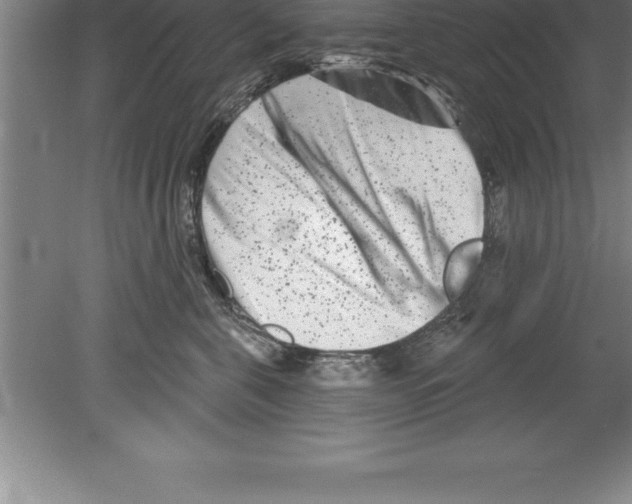 X0000079580571200612301410