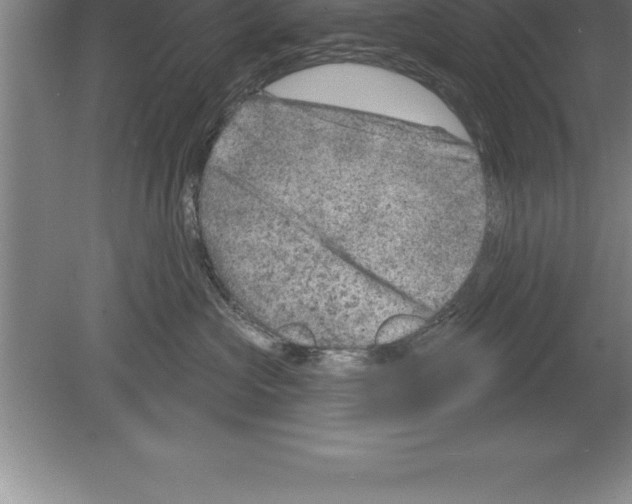 X0000079580573200612301410