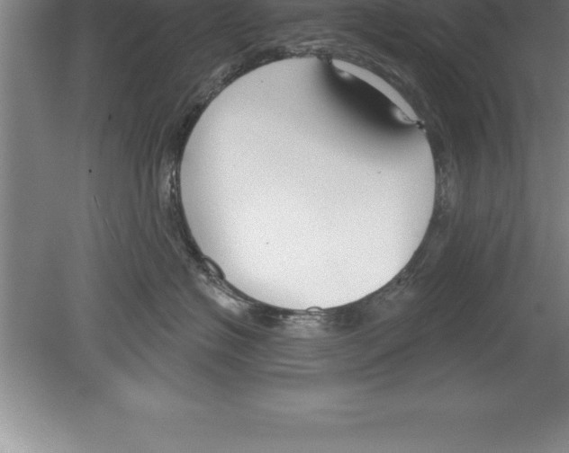 X0000079580574200612301410