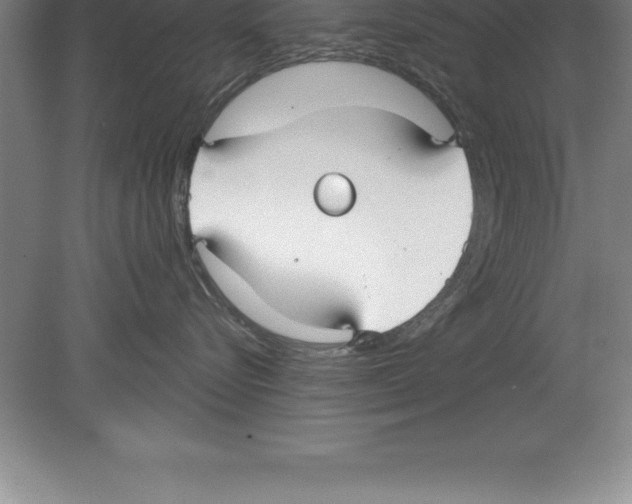 X0000079580576200612301410