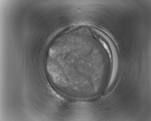 X0000079580577200612301409