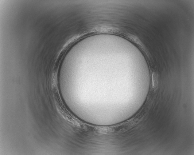 X0000079580579200612301409