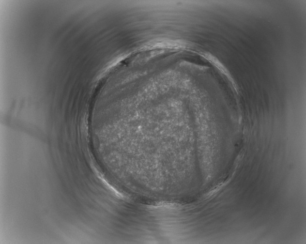 X0000079580581200612301409