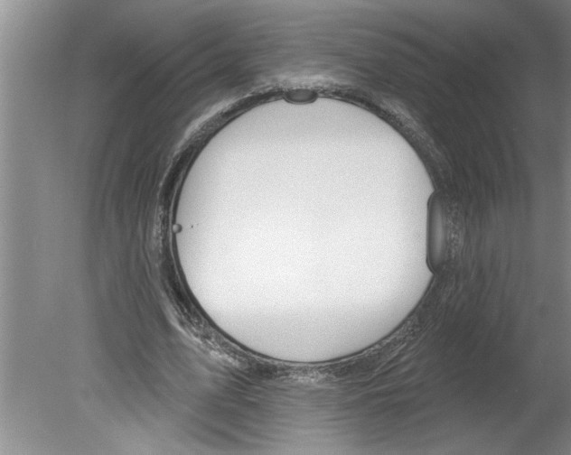 X0000079580583200612301409