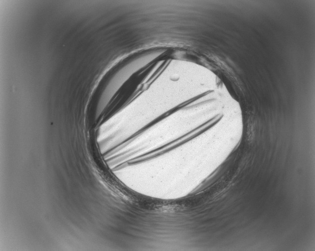 X0000079580584200612301409