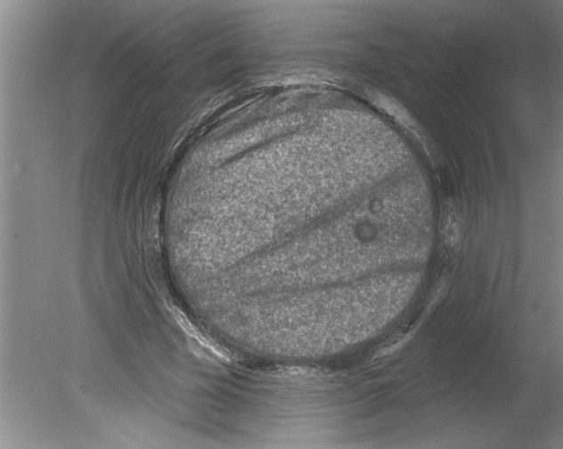 X0000079580585200612301409