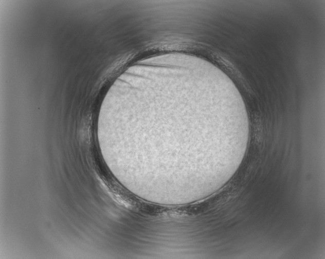 X0000079580586200612301409