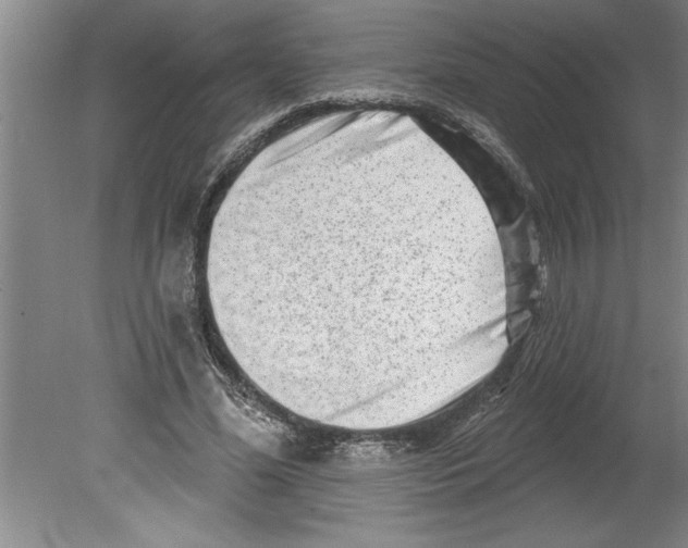 X0000079580588200612301409