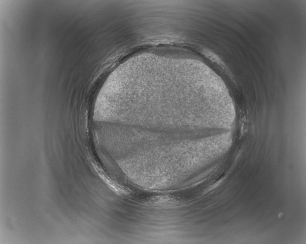 X0000079580589200612301409