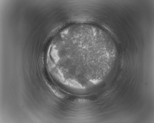 X0000079580590200612301409