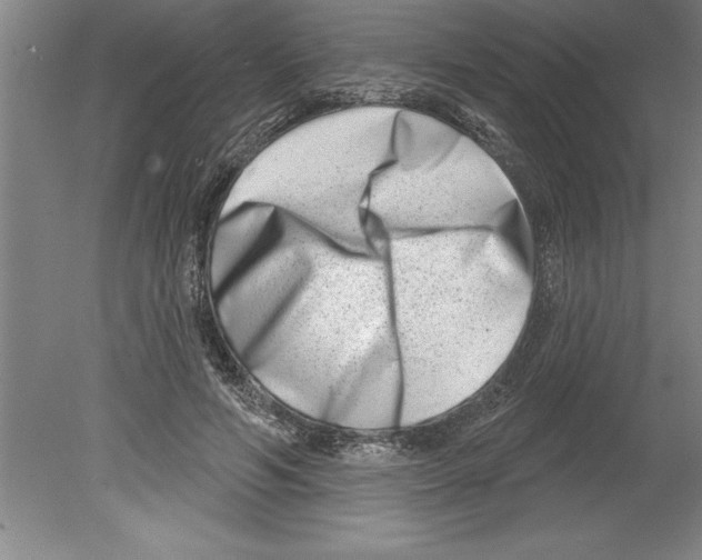 X0000079580594200612301409