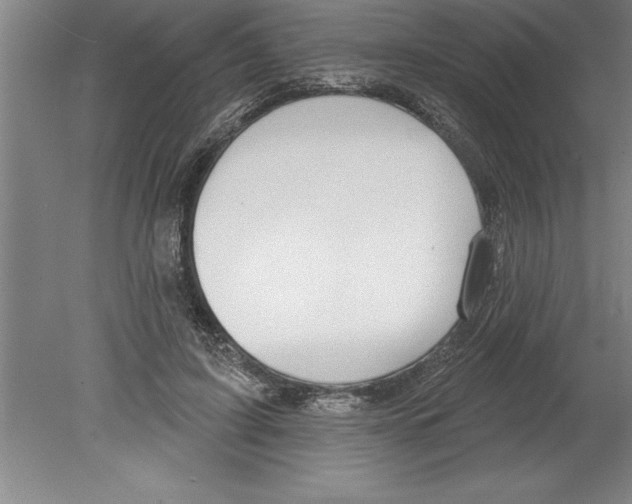 X0000079580595200612301409