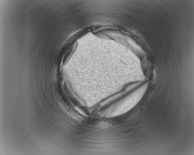 X0000079580596200612301409