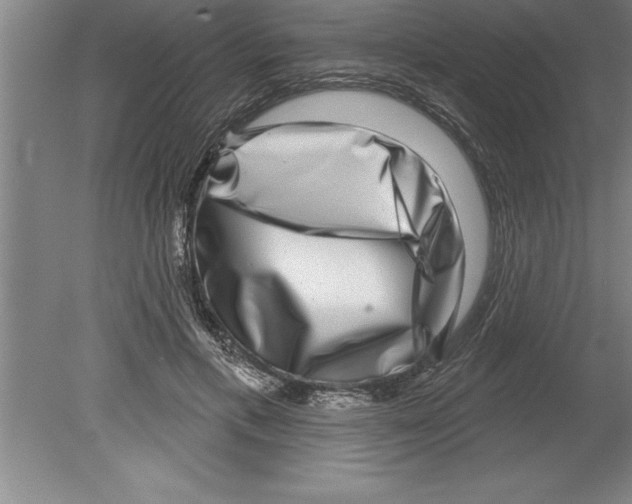 X0000079580597200612301409