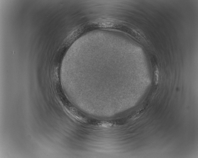 X0000079580598200612301409