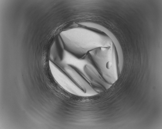 X0000079580600200612301409