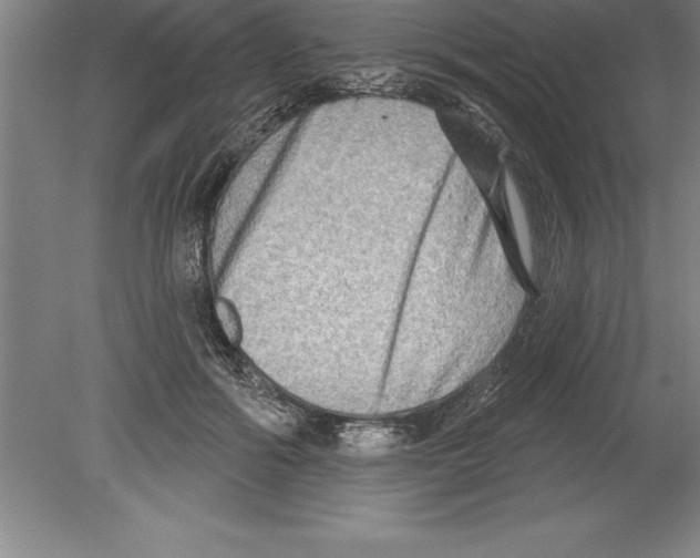 X0000079580602200612301408