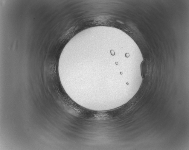 X0000079580603200612301408