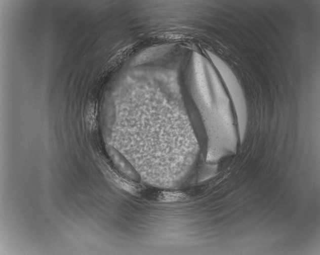 X0000079580605200612301408