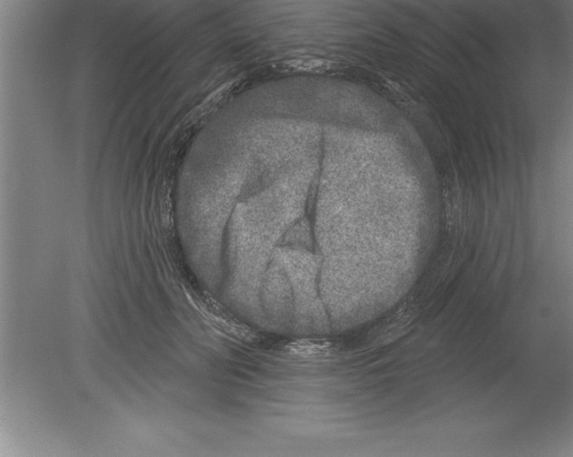 X0000079580606200612301408