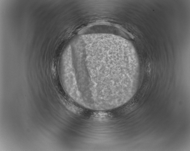 X0000079580607200612301408