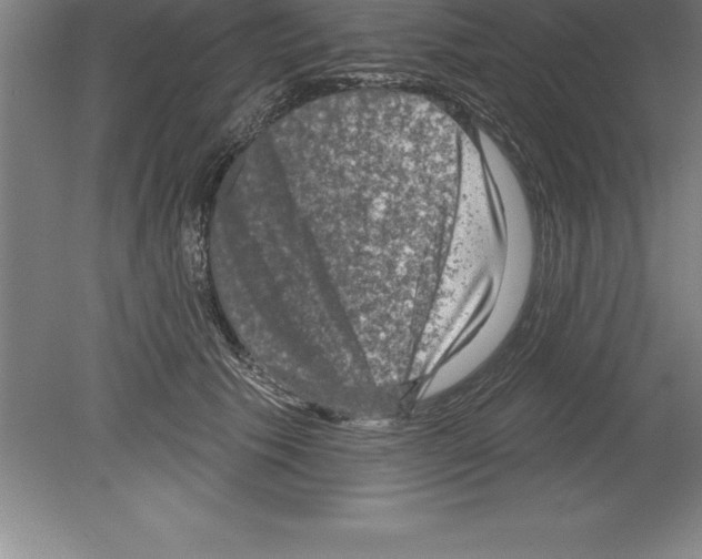 X0000079580609200612301408