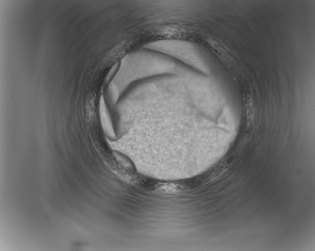 X0000079580611200612301408