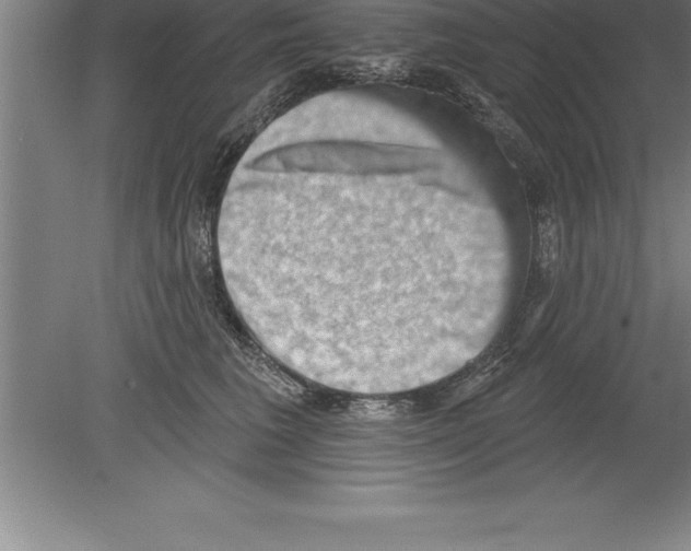 X0000079580613200612301408