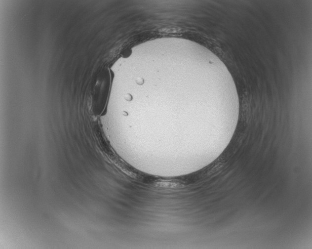 X0000079580614200612301408