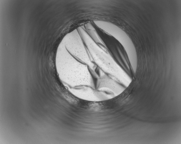 X0000079580616200612301408