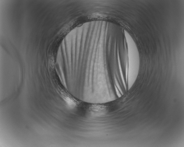 X0000079580617200612301408