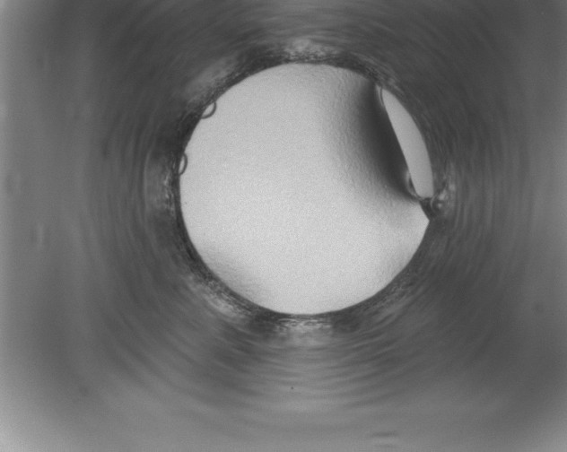 X0000079580619200612301408