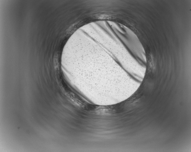 X0000079580620200612301408