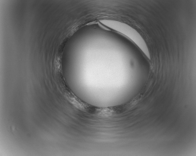 X0000079580621200612301408