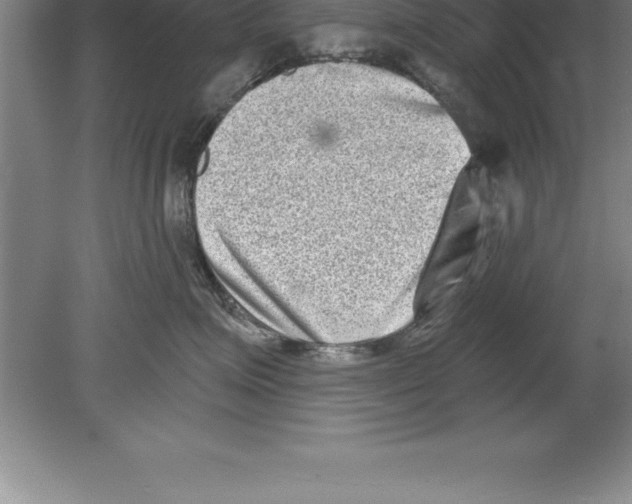 X0000079580623200612301408