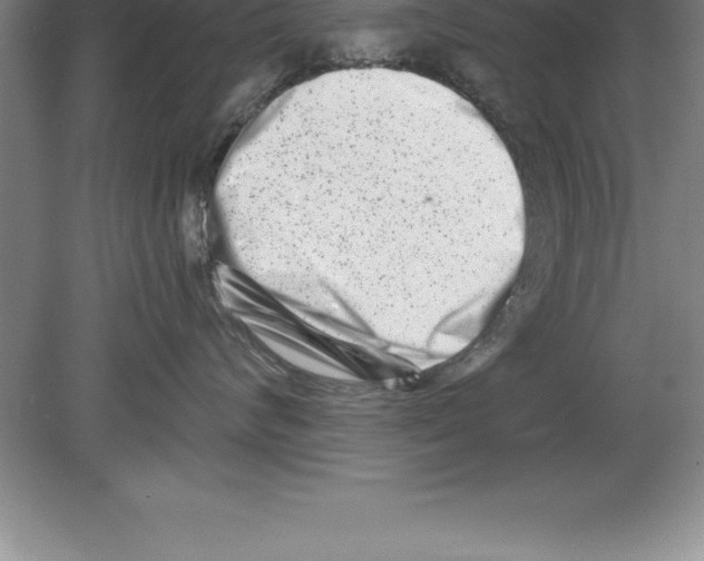 X0000079580624200612301408