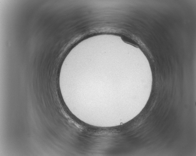 X0000079580625200612301407