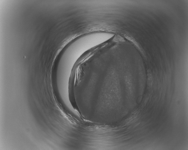 X0000079580626200612301407