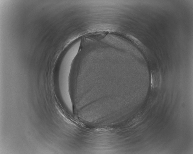 X0000079580627200612301407