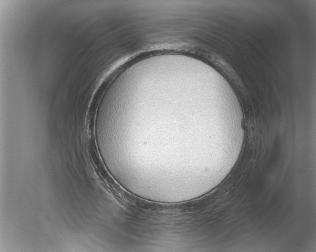 X0000079580628200612301407