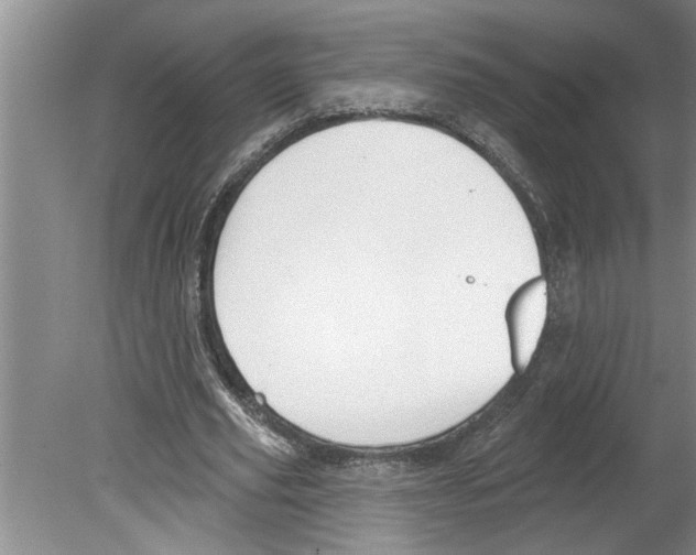 X0000079580629200612301407