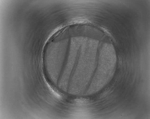 X0000079580630200612301407