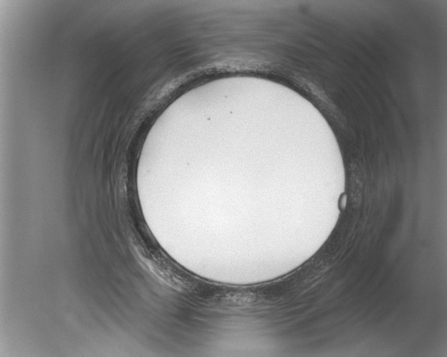 X0000079580631200612301407